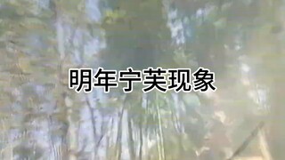 明年又是一场恶战