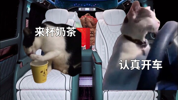 Me, sitting in the dedicated co-driver's seat on the return journey