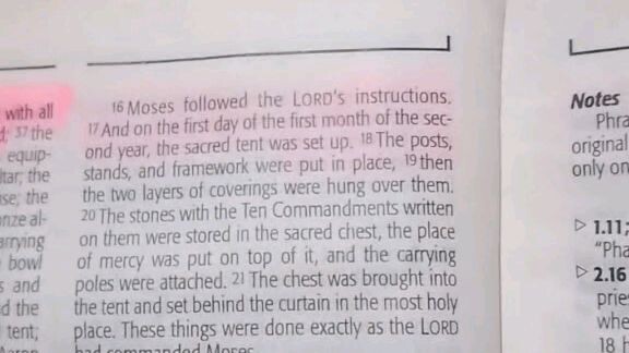 Daily Verse.        Exodus 40:16-21