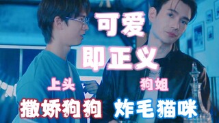 茶理狗狗撒娇PitBabe根本顶不住暗戳戳回吻！究竟谁拿捏谁？谁又是爱情傻瓜？‖可爱即正义‖撒娇狗狗VS炸毛猫咪‖狗姐味太正啦‖极速恋人