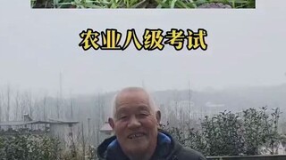 农业八级考试