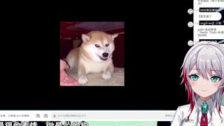 日本天然小姐姐看《用最狠的表情做最怂的狗》