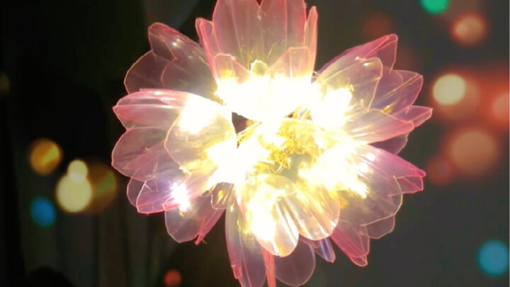 لا ترموا قشور الجيلي، هيا نصنع فوانيس مهرجان الفوانيس معًا! إنها في غاية الجمال!