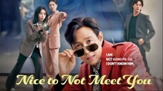 NICE TO MEET YOU (K-DRAMA) EP03 SUB INDO