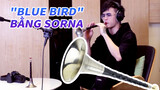 Biểu diễn "Blue Bird" bằng Sorna cực cuốn
