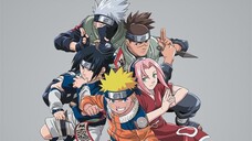 NARUTO (212 - To Each His Own Path) SEASON 5 (Full Episode 212) English Dub