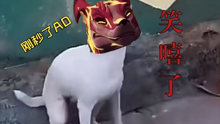 ⚡Woof woof woof⚡