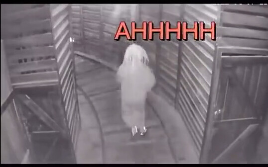 Ghost: Our haunted house doesn’t have an electric door.