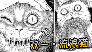 流浪猫野性难驯 甚至还会叼来地狱里的生物《双一的观赏动物》