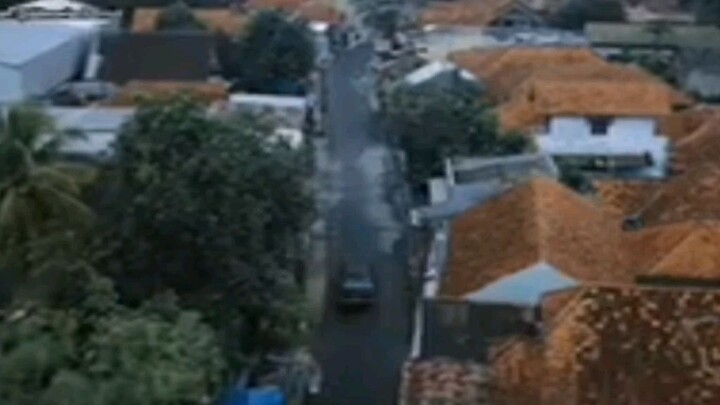 janur ijo