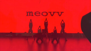 điệu nhảy của sinh viên đại học meo meo