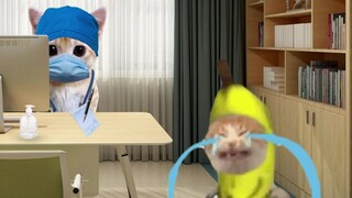 Divine Doctor Baby Lost