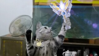 【Transformation】Meow transforms into Ultraman Triga