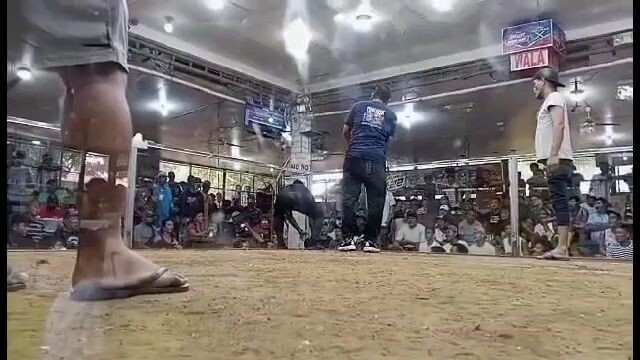 Hatch Muff - WALA Side. Accurate Cutter