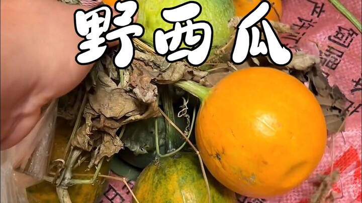 Don’t let his name fool you—this one really shouldn’t be eaten!