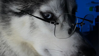 I tried it for you, and the feel is really nice.