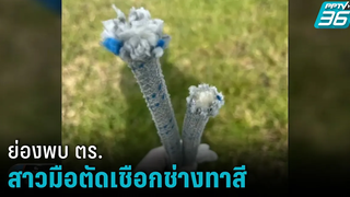 สาวมือตัดเชือกช่างทาสีคอนโด ย่องให้ปากคำตร ปฏิเสธปากแข็ง-อ้างเห็นคนทำ เข้มข่าวค่ำ