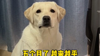 怎么我全家都是俄罗斯方块？