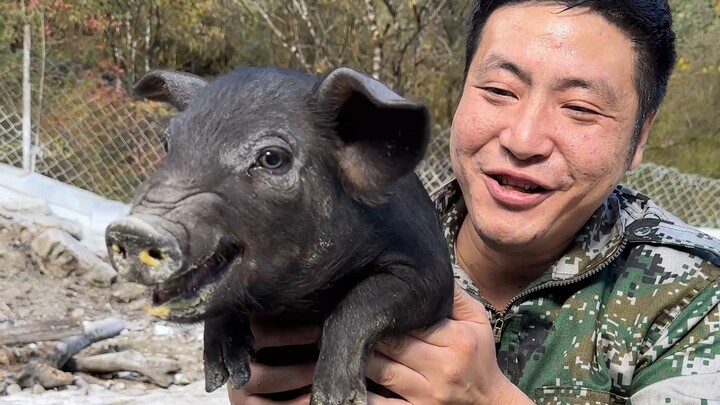 Khi thịt lợn Trung Quốc gặp món ăn nước ngoài, anh em bảo: “Đáng quá, đáng quá! Sống đến Tết cũng th