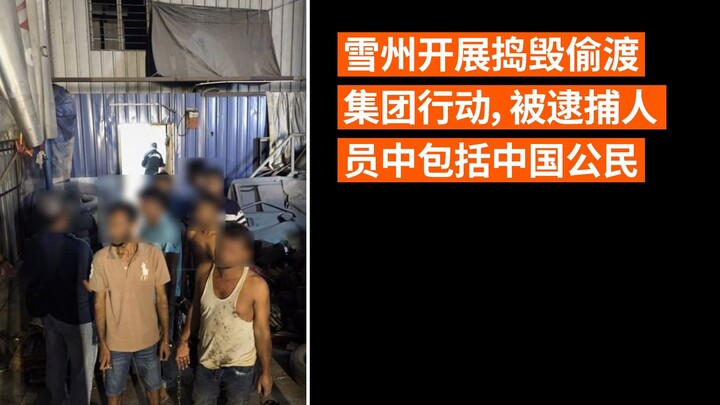 雪州开展捣毁偷渡集团行动，被逮捕人员中包括中国公民