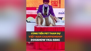 Miễn phí vào cổng dogshow Sài Gòn 2022. Được chơi nhiều mini game và rất nhiều quà tặng nữa, các bạn chia sẽ để bạn bè mình biết và đi tham dự nhé petnhatrang petonesaigon tuitienpet dcgr