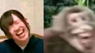 เอมิเลีย คุณทำอะไรอยู่? ฉุกเฉิน!