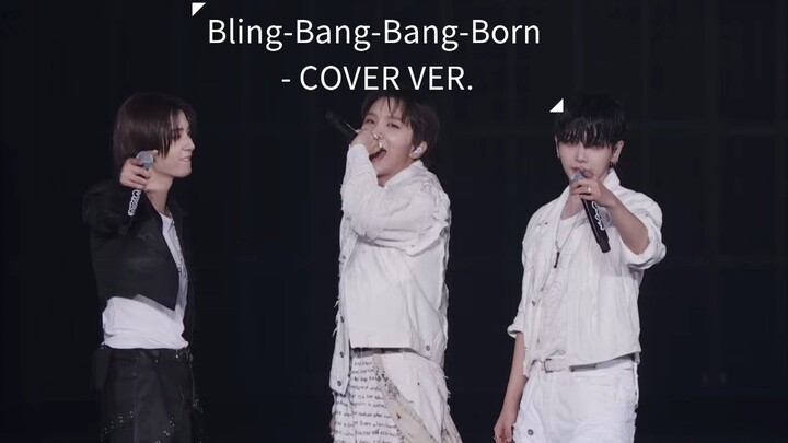 Boy Next Door - Bling Bang Bang Born (cover)