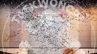 taekwondo