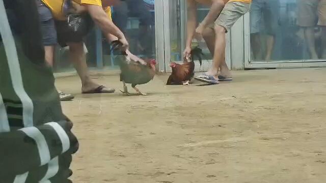 panalo po tayu mga lods marilao cockpit arina pa fallow ako mga load