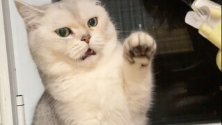 Banyak video memotong kuku, tapi yang ini paling lucu