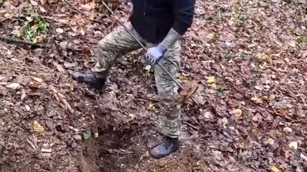 Nơi ẩn náu hoàn hảo