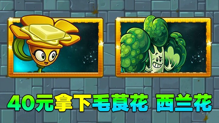 Chỉ 40 tệ đã sở hữu Bông cải xanh! Đánh thường kiểm soát chiến trường, chiêu cuối vững như tường đồn