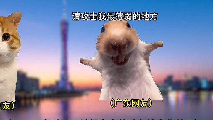 【Meme mèo】Một câu phá vỡ phòng thủ của mỗi tỉnh (bản đầy đủ)