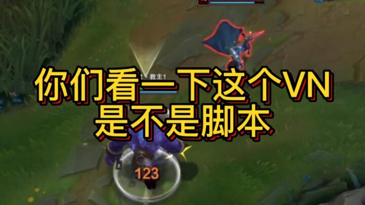 你们来看看这个vn是反应快 还是脚本。