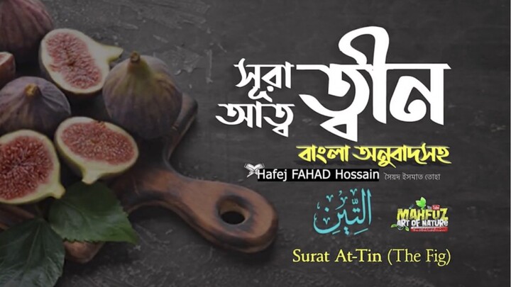 (95) সূরা আত্ব-ত্বীন (বাংলা অনুবাদসহ)