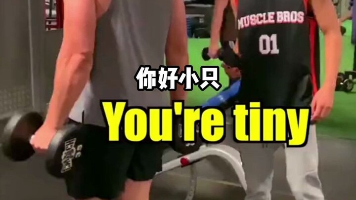 "Hello, Xiao Zhi?" I almost got punched after saying that.