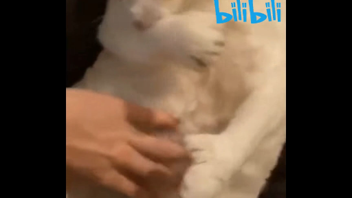 แปลงร่าง...