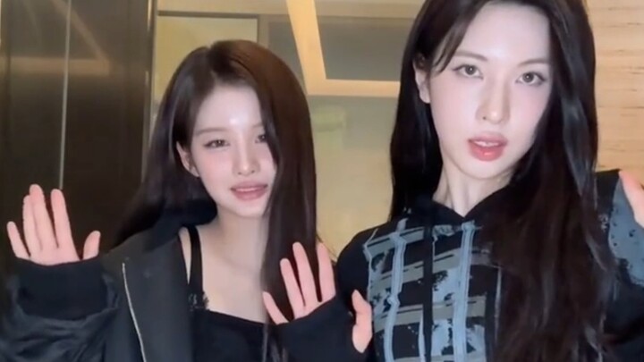 【Tu Ji Yao】Three Different Styles! JYP Girl Group "Chanel" Dance Challenge Compilation!