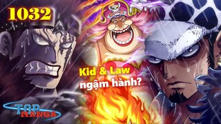 [Dự Đoán OP 1032]. Kid & Law ngậm hành? Sanji toả sáng, quyết chiến với Queen?