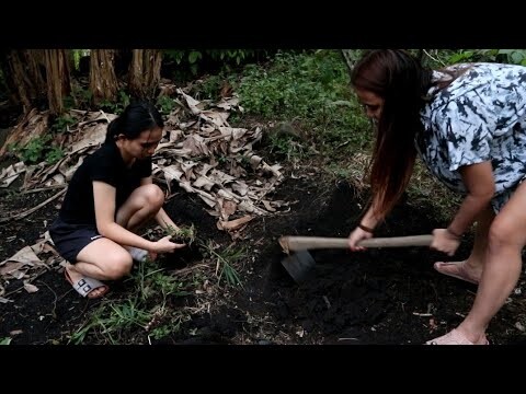 GADIS DAYAK TIDAK TAKUT AKAN KOTOR ❗❗ SEPERTI INI LAH AKTIVITAS GADIS DAYAK SEHARI-HARI