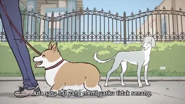 Fei ren zai 06 sub indo