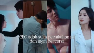 Full Episode Sub Indo CEO tidak suka pernikahan ini dan ingin bercerai