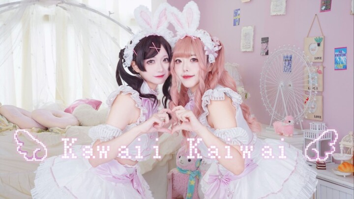 Which idol bunny did you drop? Double the cuteness with Kawaii Kaiwai~ [Otter x Otter]