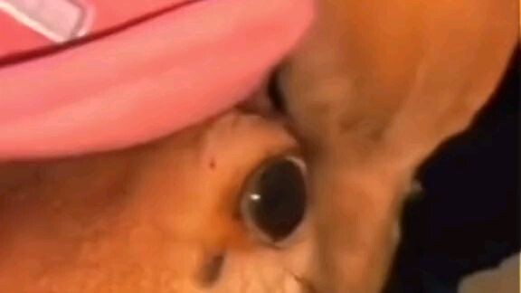 one piece in real life #onepiece #anime