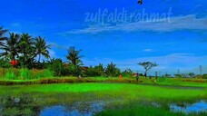 untuk para sahabat