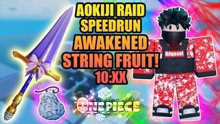 Awakened String Fruit Solo Aokiji Ice Raid Speedrun in A One Piece Game