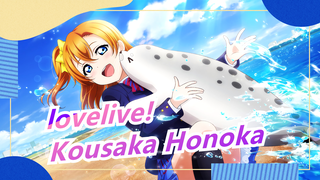 [lovelive! / Sad?] Kousaka Honoka's Disappearance