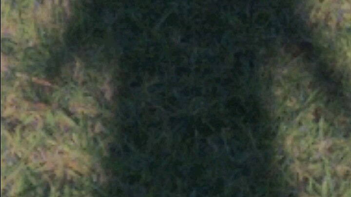 em đây đâu chỉ yêu mình anh😋