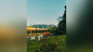 Anh đã xay mê em rùi thucung meo xuhuong foryou fpyシ