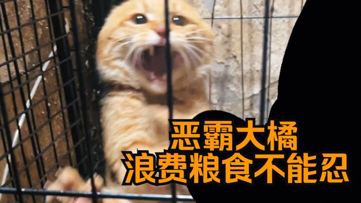 Bos Besar Daju – Membuang-buang makanan itu batas terendah!